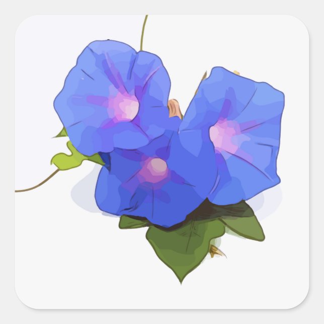Pegatina Cuadrada Flor de la gloria de la mañana (Anverso)