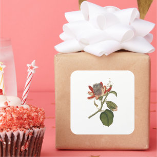 Pegatina Cuadrada Flor de pasión vintage