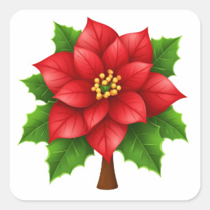 Pegatina Cuadrada Flor de Poinsettia Roja Vibrante con Hojas Verdes