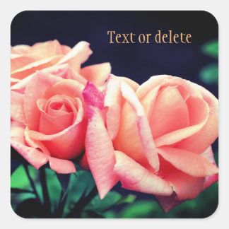 Pegatina Cuadrada Flor de Rosa Peach personalizada