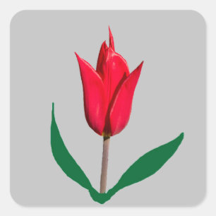 Pegatina Cuadrada Flor de tulipán