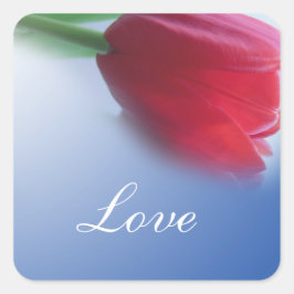 Pegatina Cuadrada Flor de tulipano rojo