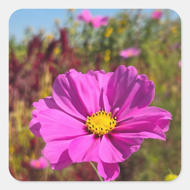 Pegatina Cuadrada Flor rosa (Anverso)