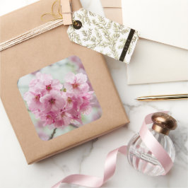 Pegatina Cuadrada Flor rosa de flores de cerezo, fotografía en Japón