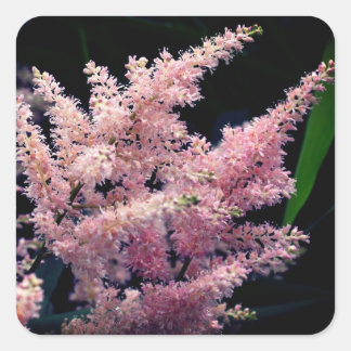 Pegatina Cuadrada Flor rosa en llamas