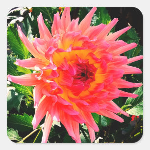 Pegatina Cuadrada Flor rosa y amarilla