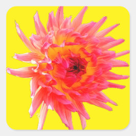 Pegatina Cuadrada Flor rosa y amarilla
