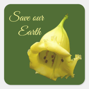 Pegatina Cuadrada Flor tropical amarilla