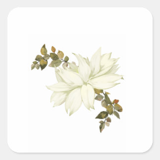 Pegatina Cuadrada Flor y Follaje Blanco Simplista