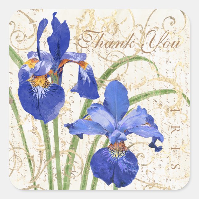 Pegatina Cuadrada Floral Blue Iris Gold Damask Gracias (Anverso)