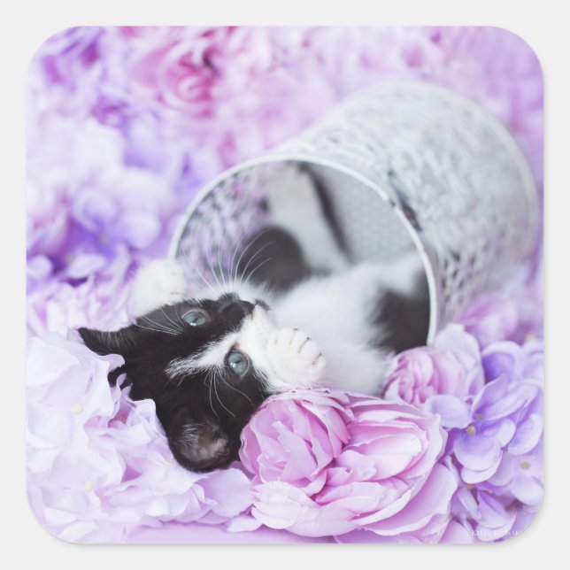 Pegatina Cuadrada Floral púrpura "Pippa" juguetona (Anverso)