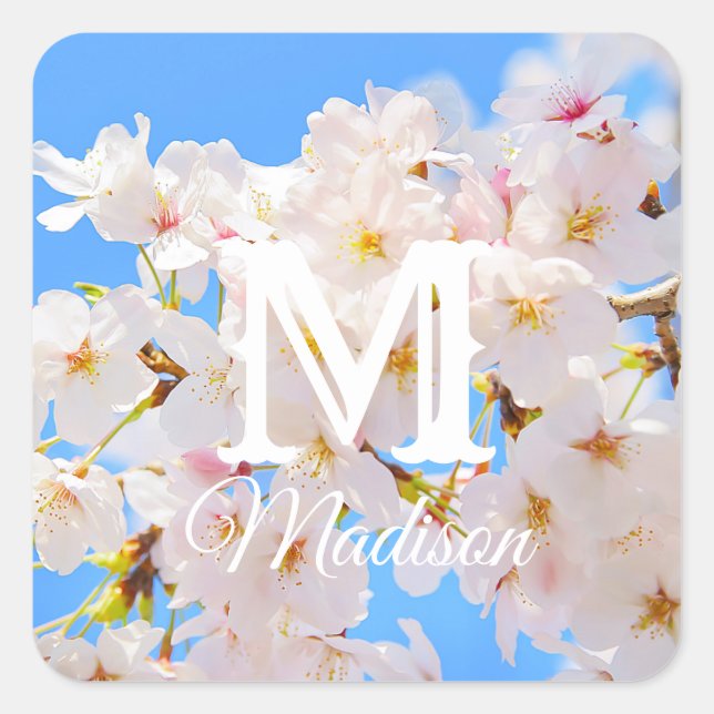 Pegatina Cuadrada Florecimiento del cerezo en primavera (Anverso)