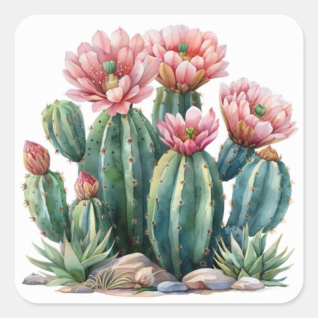 Pegatina Cuadrada Flores acuáticas del desierto cactus. (Anverso)