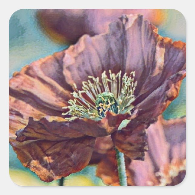 Pegatina Cuadrada Flores de amapola roja naranja púrpura acuarela (Anverso)