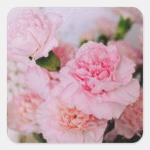 flores de clavel rosa fotografía estilo vintage