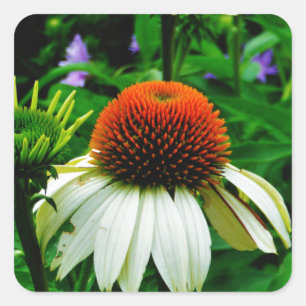 Pegatina Cuadrada Flores de Cono blancas y Naranjas