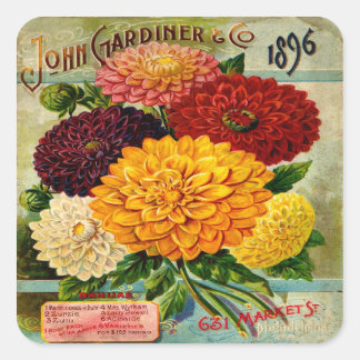 Pegatina Cuadrada Flores de Dahlia antiguas