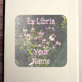Pegatina Cuadrada Flores de Echinacea en el Sol Exlibris
