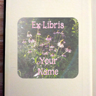 Pegatina Cuadrada Flores de Echinacea en el Sol Exlibris