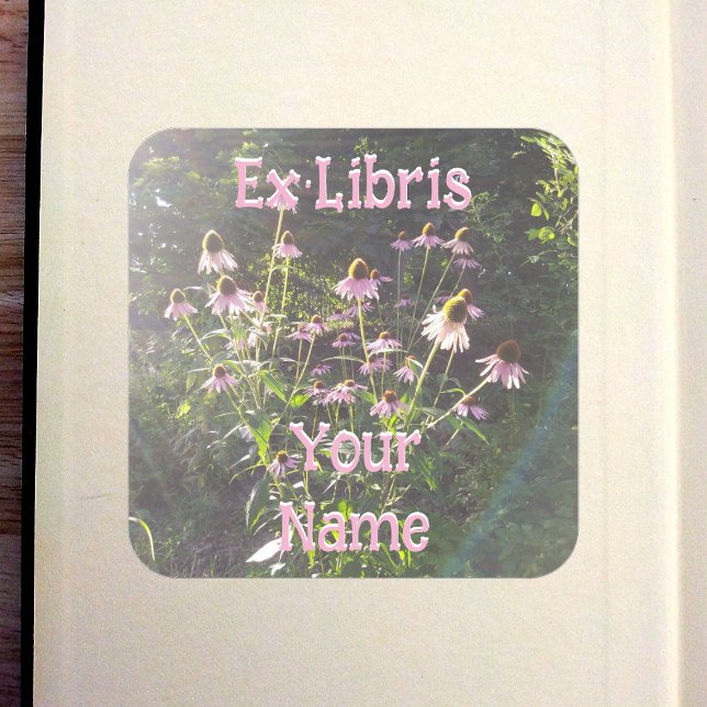 Pegatina Cuadrada Flores de Echinacea en el Sol Exlibris (Echinacea Flowers in the Sun Bookplate in Old Book)