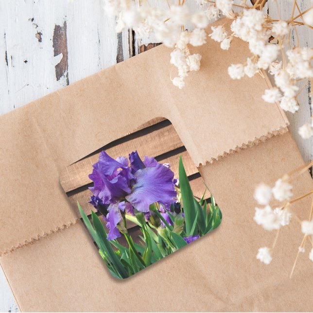Pegatina Cuadrada Flores de iris morado de bonito (Subido por el creador)