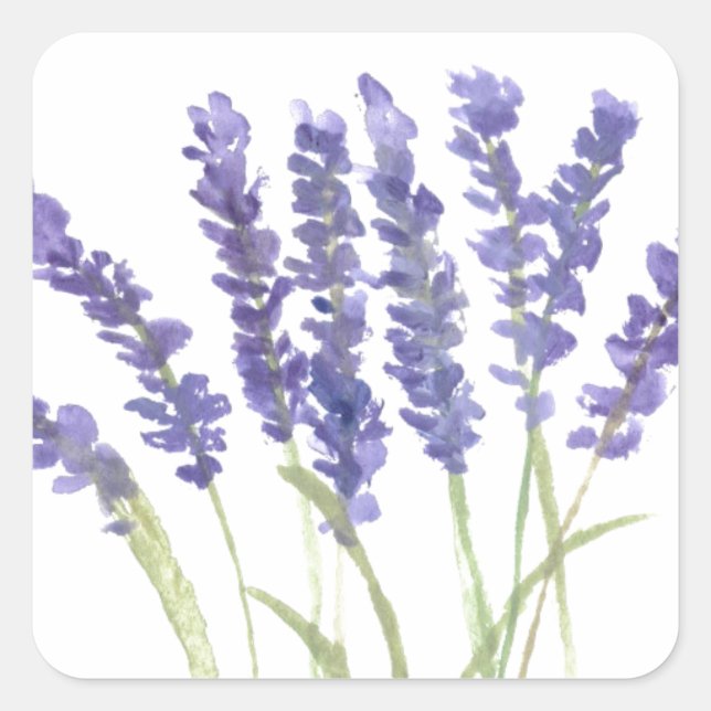 Pegatina Cuadrada Flores de lavanda acuarela hierbas rústicas (Anverso)