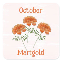 Flores de Marigold Adorables Octubre