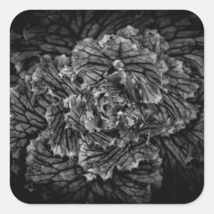 Pegatina Cuadrada Flores De Patio Trasero En Blanco Y Negro No 42