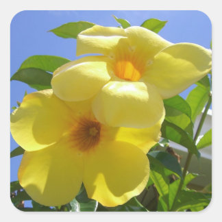 Pegatina Cuadrada Flores de trompeta doradas I