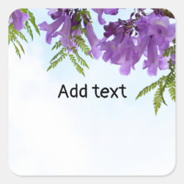 Pegatina Cuadrada Flores Jacaranda moradas floreciendo en el árbol