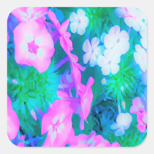 Pegatina Cuadrada Flores Phlox en los jardines rosa, verde, azul y b