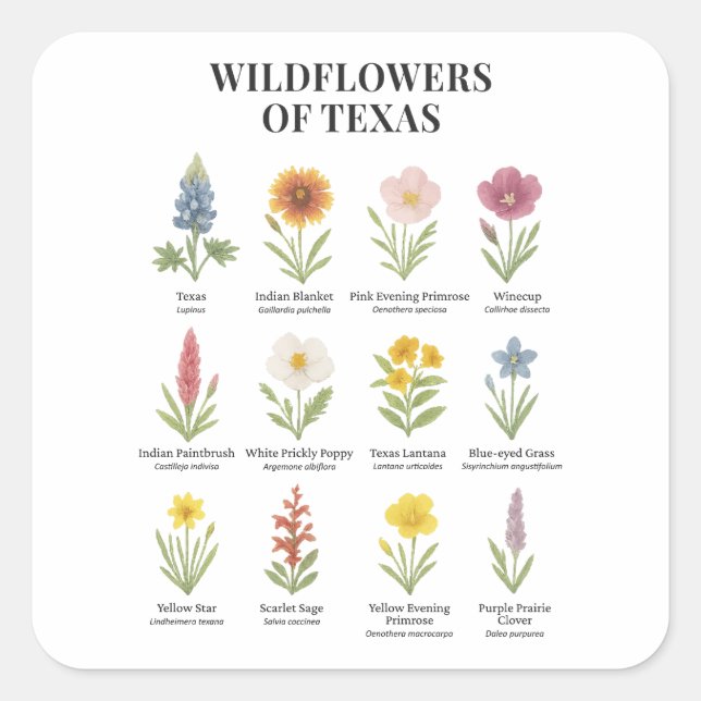 Pegatina Cuadrada Flores salvajes de Texas al estilo de las acuarela (Anverso)