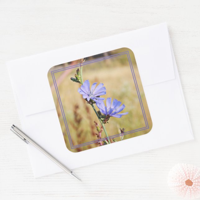 Pegatina Cuadrada Flores salvajes por la mañana (Sobre)