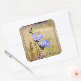 Pegatina Cuadrada Flores salvajes por la mañana