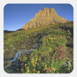 Pegatina Cuadrada Flores silvestres alpinas y Mt Clements en Logan P