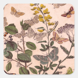 Pegatina Cuadrada Flores silvestres de Ilustracion floral botánico