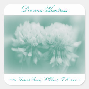 Pegatina Cuadrada Flores silvestres de trébol blanco