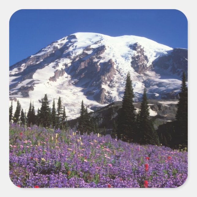 Pegatina Cuadrada flores silvestres de verano en la base del Monte R (Anverso)