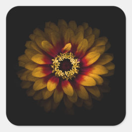 Pegatina Cuadrada Flores traseras n° 69, versión en color