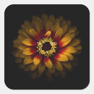 Pegatina Cuadrada Flores traseras n° 69, versión en color