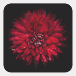 Pegatina Cuadrada Flores traseras n.o 45 en color