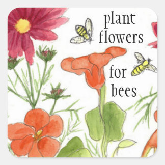Pegatina Cuadrada Flores Vegetales Para Abejas Flores De Nasturcio