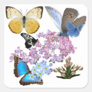 Pegatina Cuadrada Flores Y Mariposas: Un nuevo biggenismo