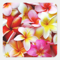 Flower Hawaii Personalizada Plumeria Frangipani