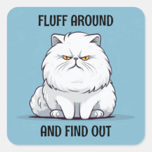 Fluff Around y Find Grumpy White Cat