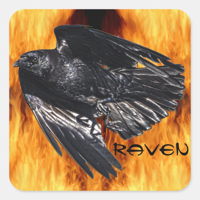 Pegatina Cuadrada Flying Black Raven & Flames Photo Design 7 (Anverso)