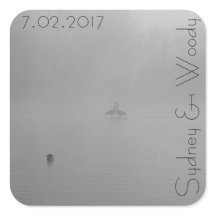 Foggy Geese