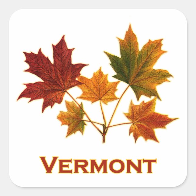 Pegatina Cuadrada Foliage de Vermont Fall - Hojas de arce (Anverso)