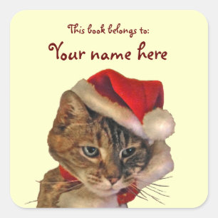 Pegatina Cuadrada Folleto de Santa Kitty