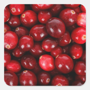Pegatina Cuadrada Fondo Fresco de Cranberry